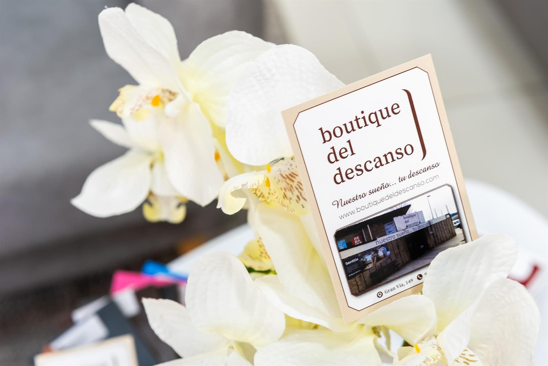 Boutique del descanso